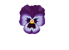 プログラム