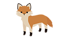 採用情報