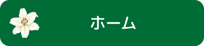 ホーム